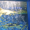 キャステル 【2021年9月】京急油壺マリンパークが閉館！理由は？跡地や魚・動物たちはどうなる？気になる今後を調査！