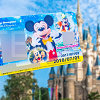 キャステル 【ディズニー年パスの抽選情報】12月入園分当選発表!当たらない?当落結果まとめ!
