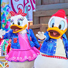 キャステル ディズニーの鳥キャラクターまとめ!20羽の鳥たちの出演映画&個性豊かな性格も!