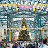 キャステル 【2023】ディズニークリスマス情報まとめ！ダンサー&シーのツリー復活！クリスマス版エレクトリカルパレードも
