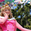 キャステル オーロラ姫は恋愛上手なプリンセス!眠れる森の美女は恋のバイブル?物語のあらすじや設定まとめ!