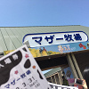 キャステル 【2023】マザー牧場のお土産まとめ！お菓子・チーズ・ストラップなど、通販＆カフェも