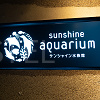 キャステル サンシャイン水族館まとめ！営業時間・料金・アクセス・見どころ・イベント・ショップ情報