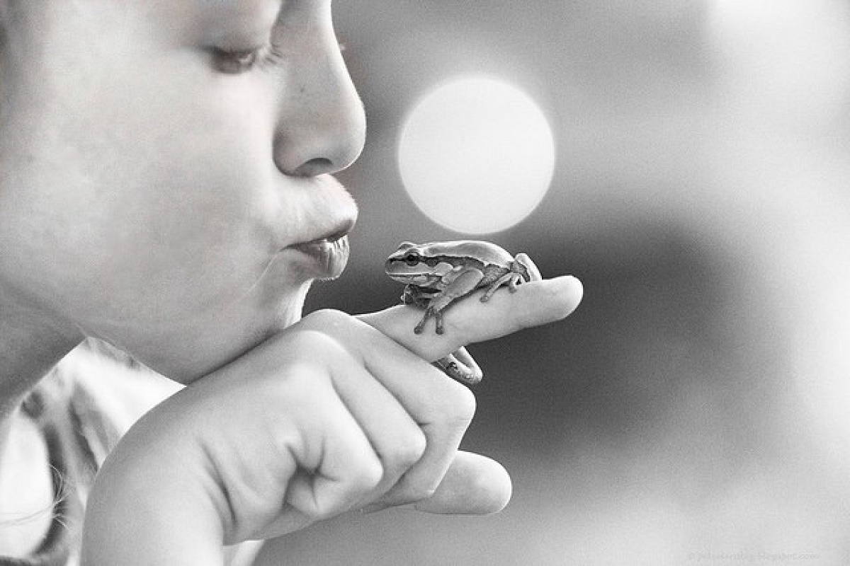 お姫様のキスでカエルは王子様に…？| キャステル | CASTEL ディズニー情報