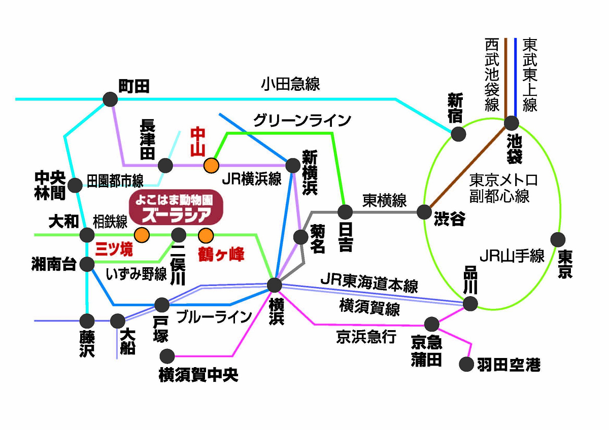 主要な駅からのアクセス方法