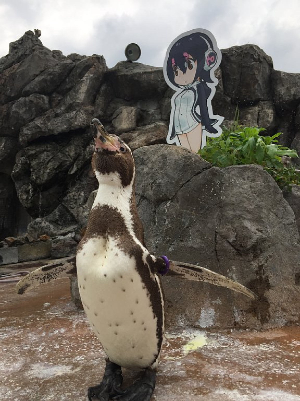 東武動物公園駅から東武動物公園へのアクセス