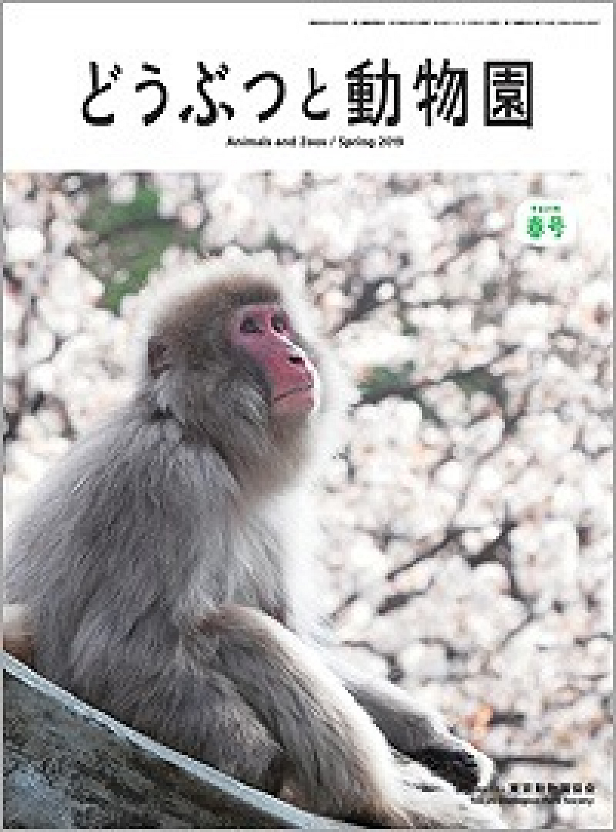 一般会員になると貰えるどうぶつと動物園