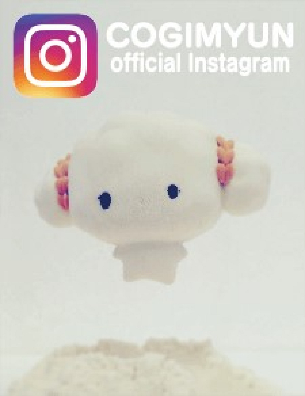 こぎみゅんのInstagram