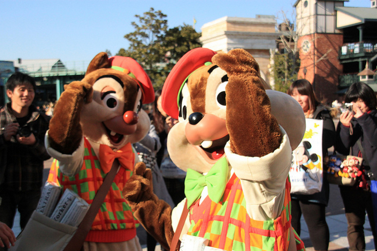 左がデールで右がチップ。そっくりですが、違いがたくさん