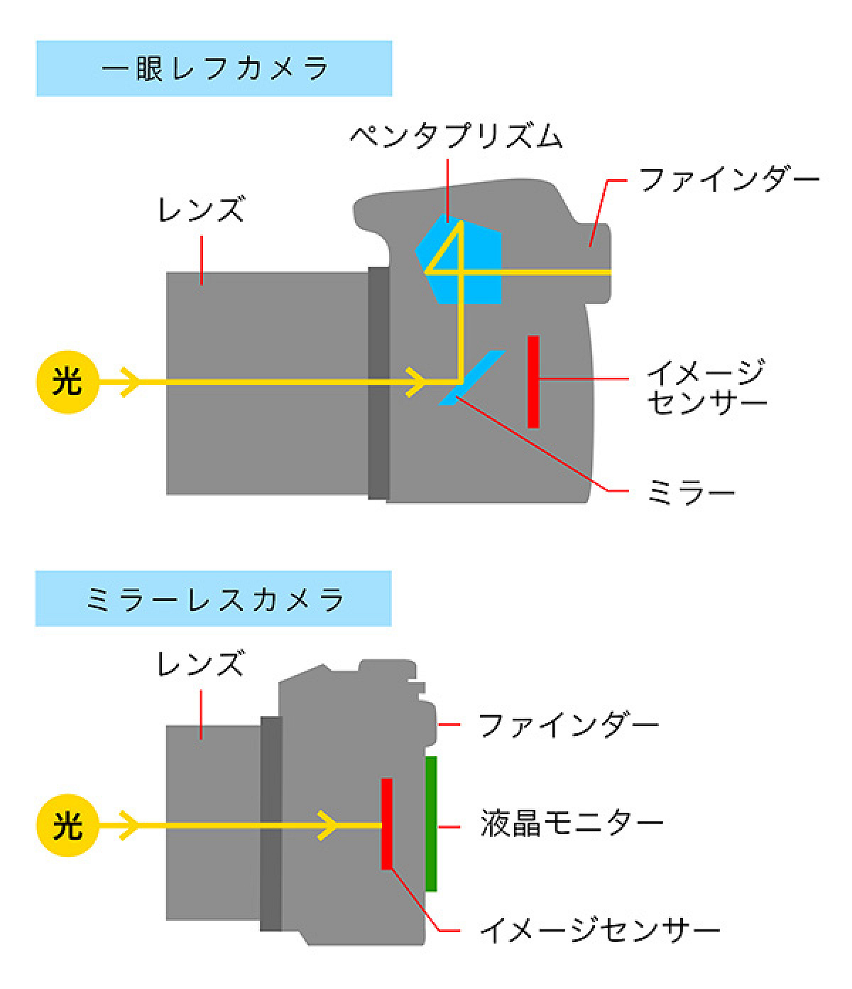 一眼レフカメラとミラーレスカメラの違い