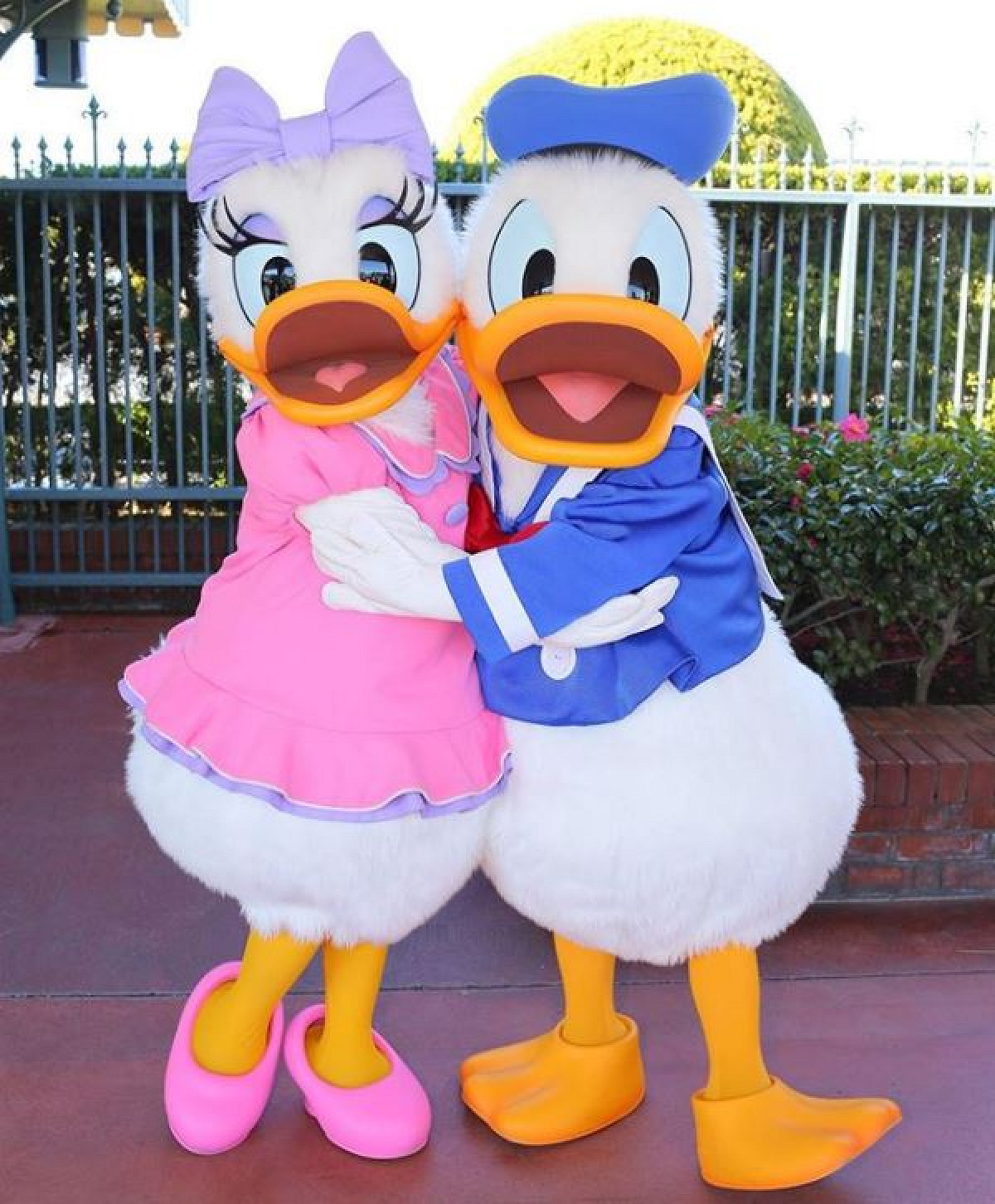 ★激レア LE1500★WDW★ダウンタウンディズニー『ドナルド＆デイジー』ピン ドナルド・デイジー| キャステル | CASTEL ディズニー情報