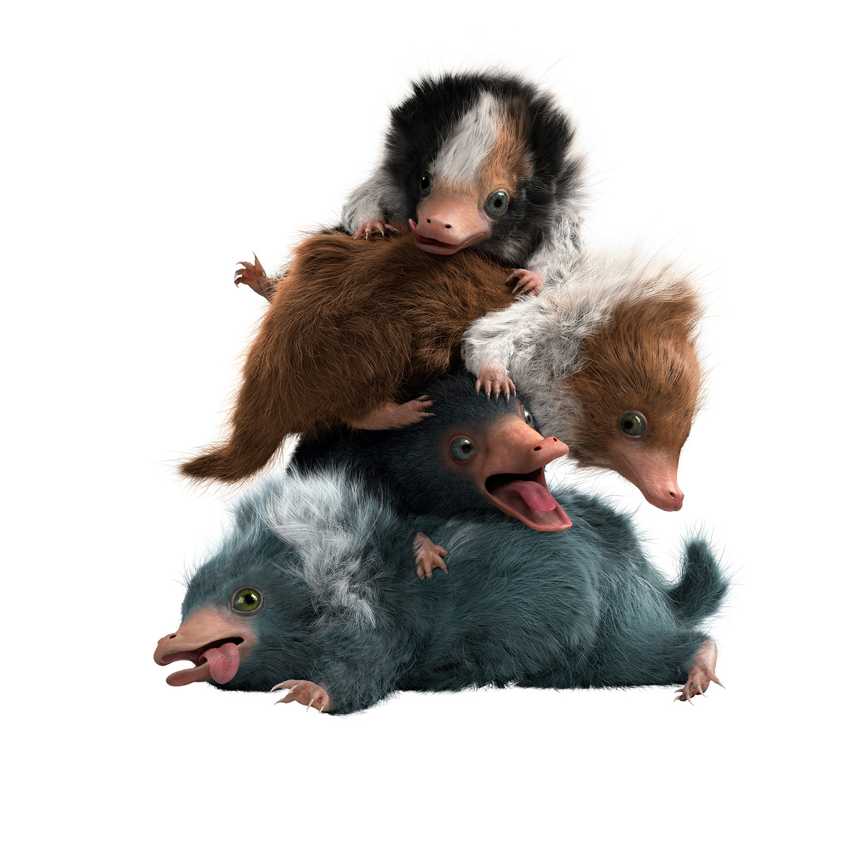 ファンタビ魔法生物：ニフラーとは| キャステル | CASTEL ディズニー情報