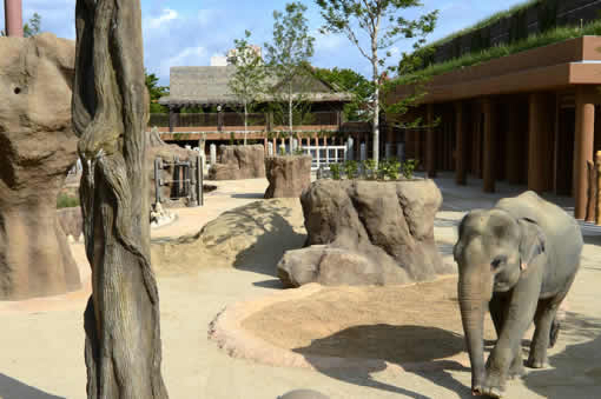 東山動物園