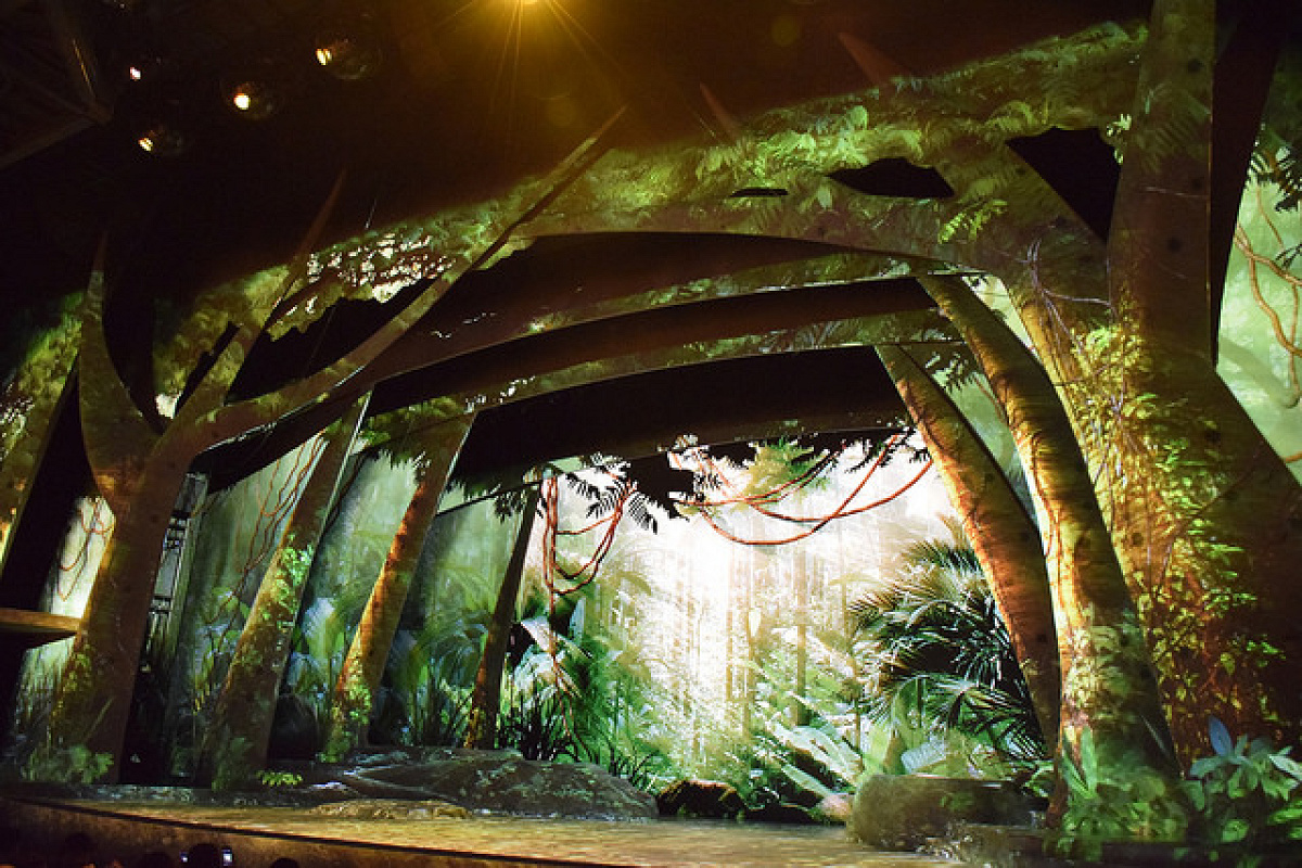 ハンガーステージの森の中の演出