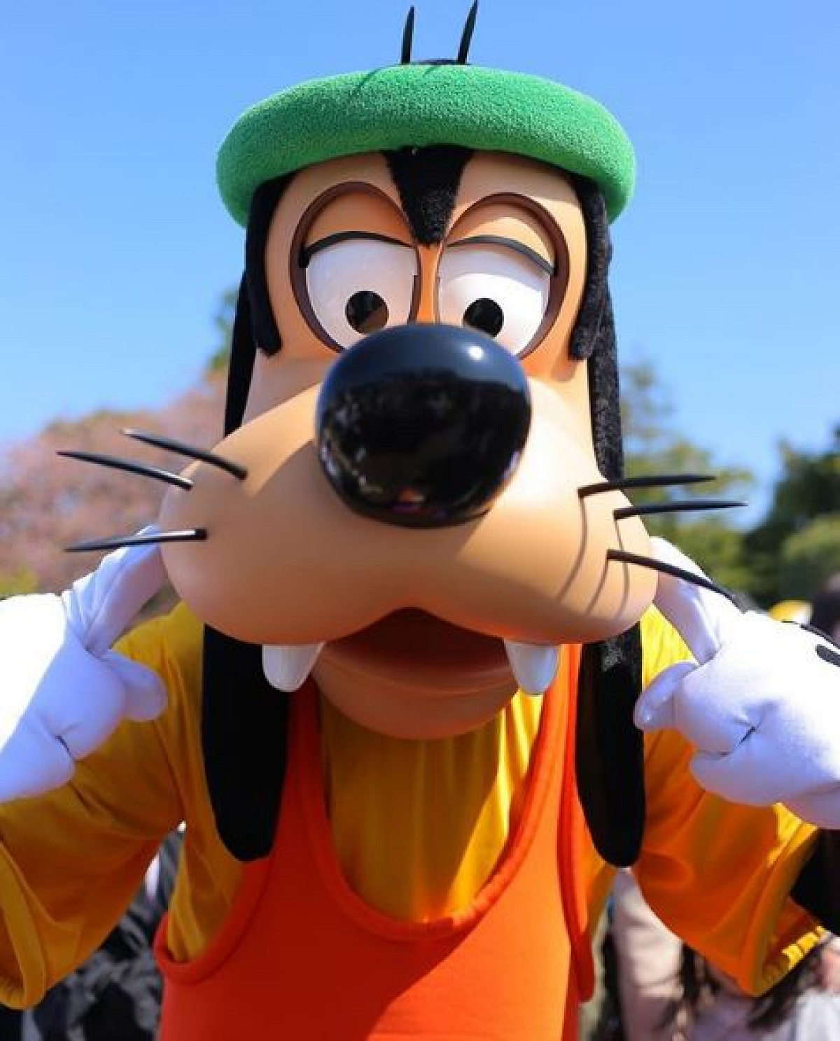 グーフィーの声と言えば？| キャステル | CASTEL ディズニー情報