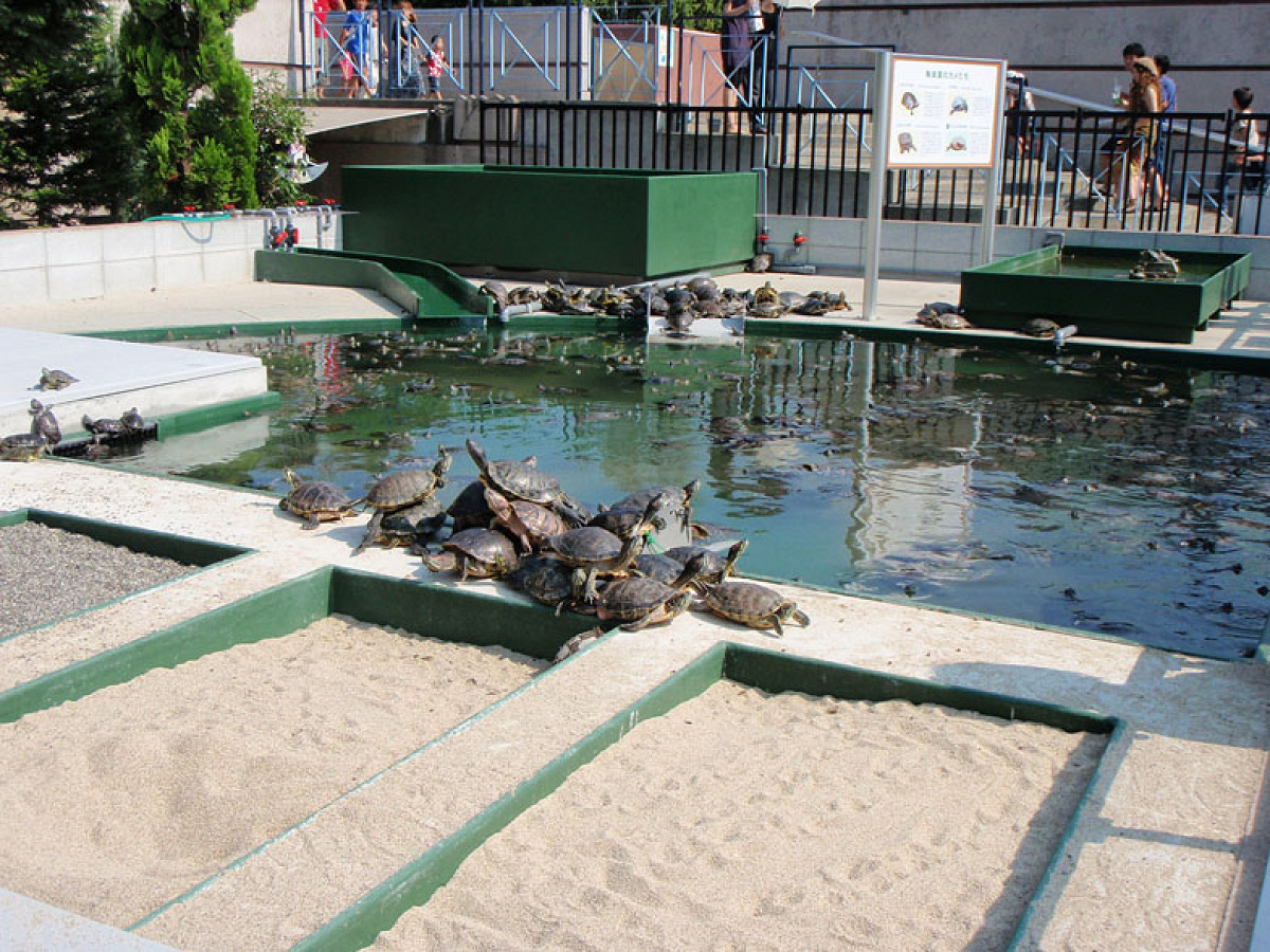 須磨海浜水族園