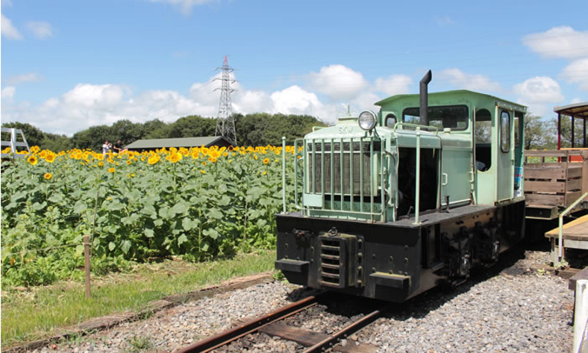 トロッコ列車