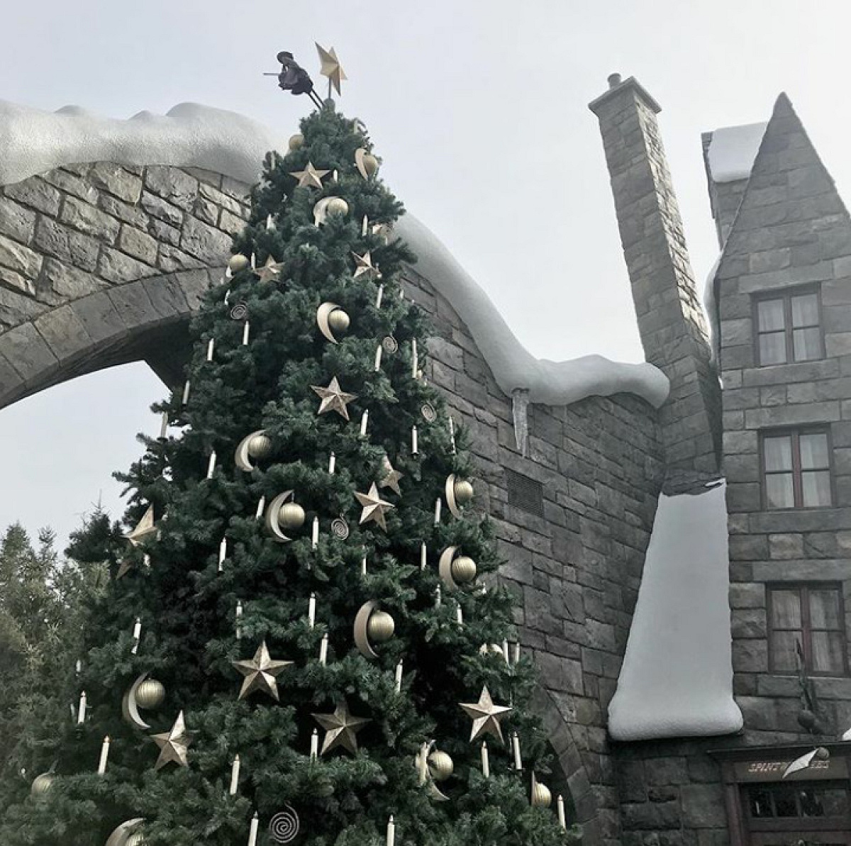 USJハリーポッターエリア/魔法界のクリスマスツリー