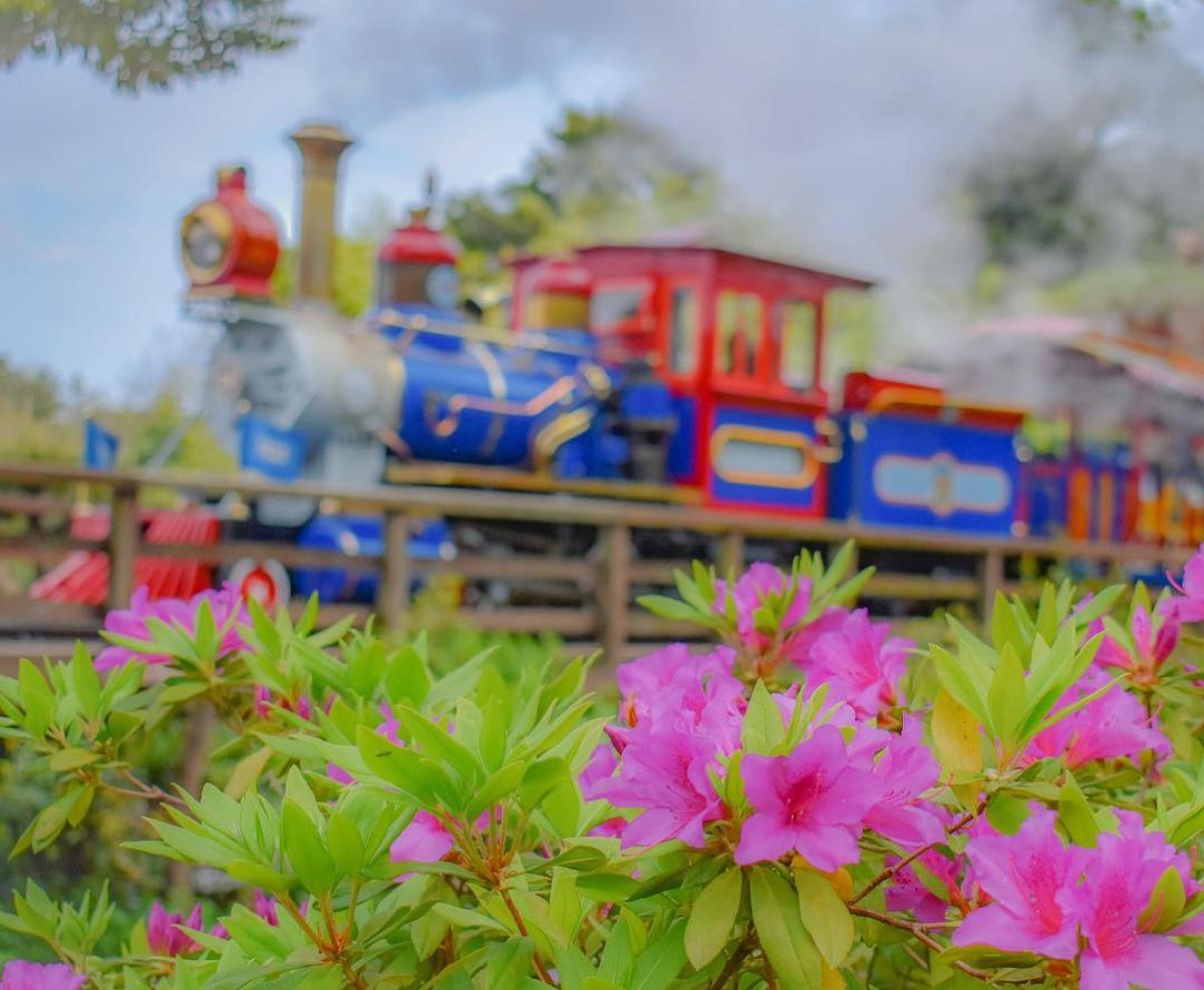 ウエスタンリバー鉄道の車両