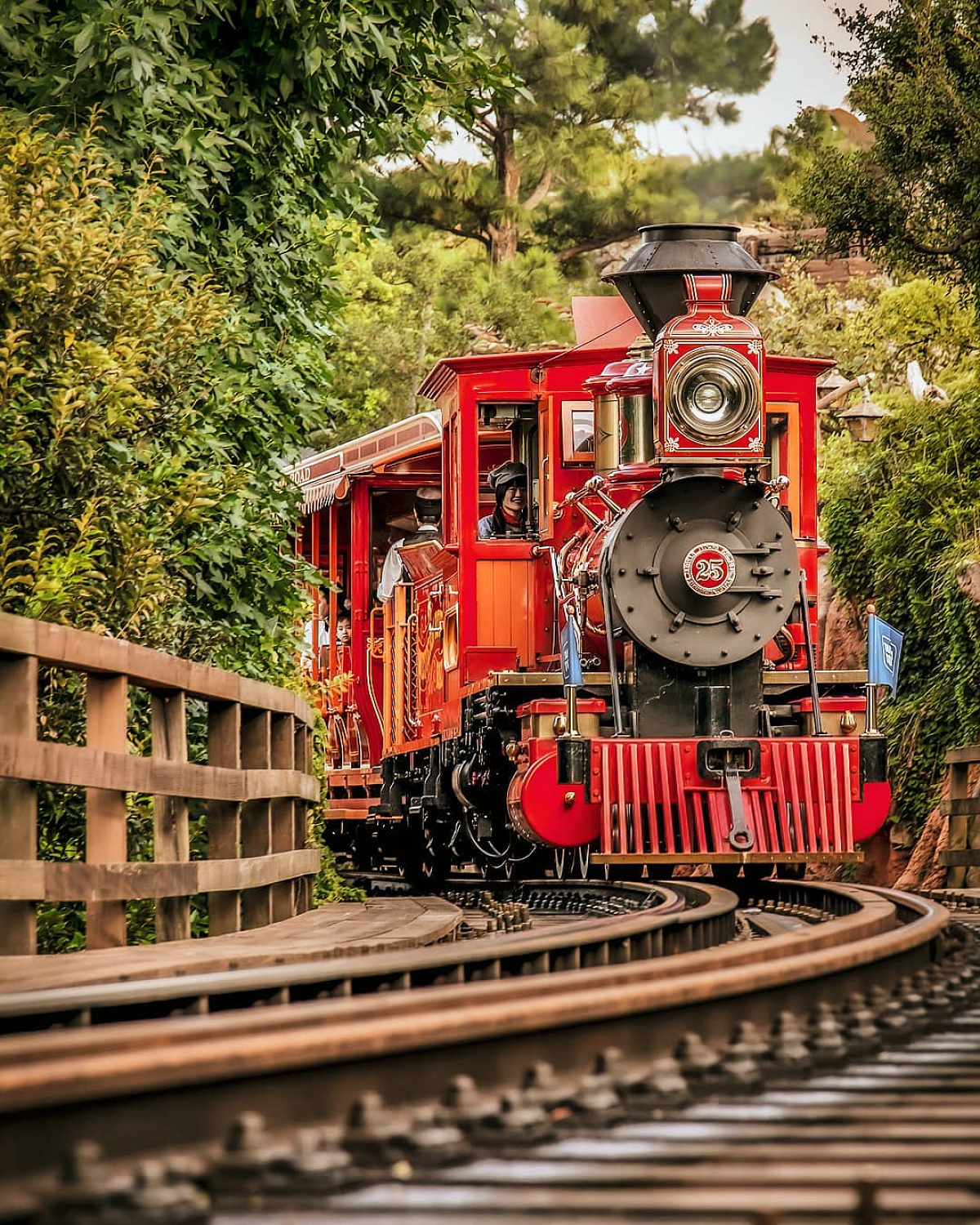 ウエスタンリバー鉄道：リオ・グランデ号| キャステル | CASTEL ディズニー情報