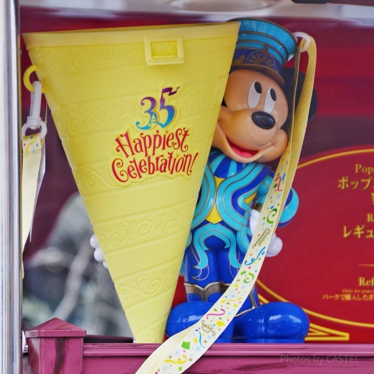 ディズニーランド35周年