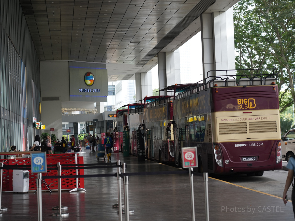 シンガポール動物園へのアクセス：直通バスはある？
