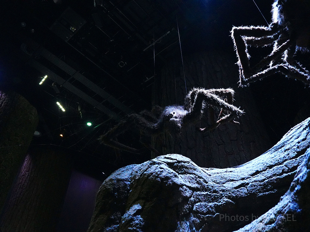 ハリーポッターに登場する魔法生物アクロマンチュラ