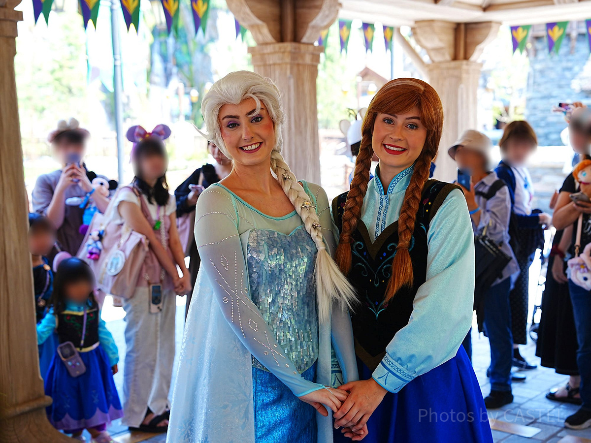 アナとエルサのペアグリ