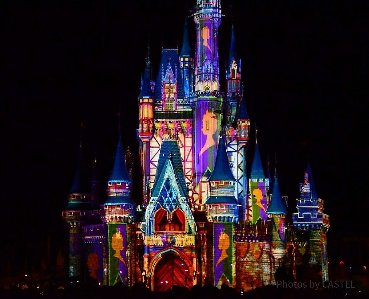 アレンデールのお城| キャステル | CASTEL ディズニー情報