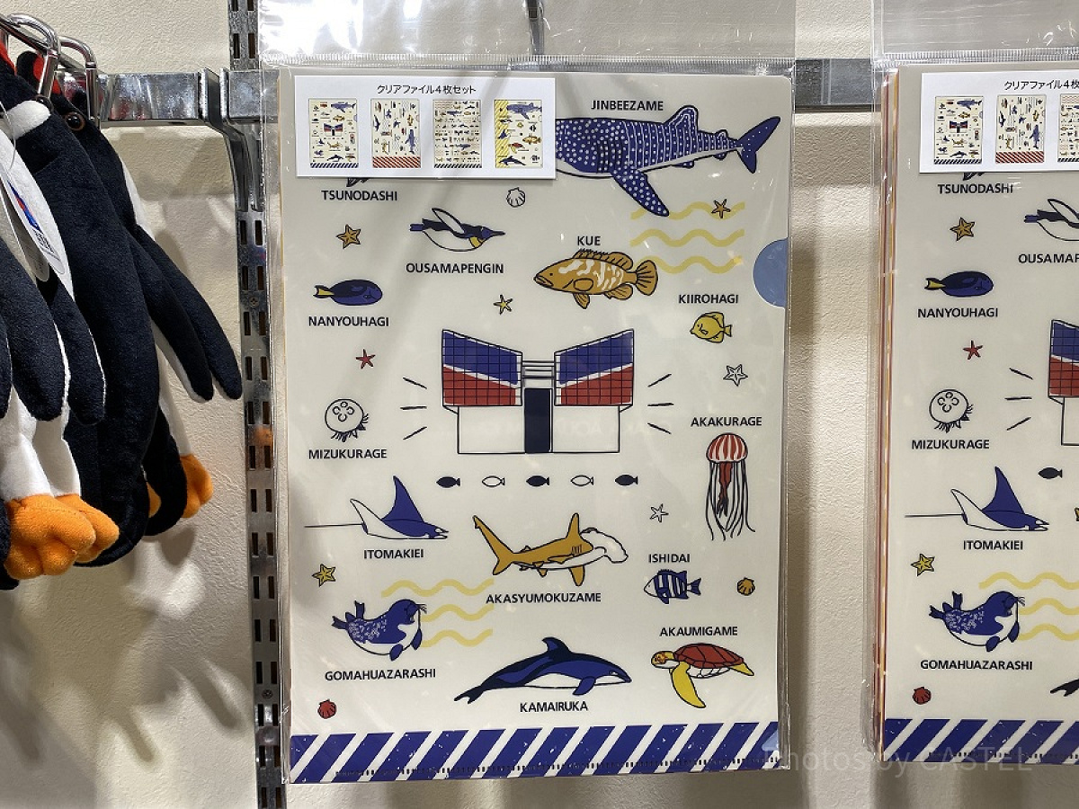 Amazon.co.jp: 海遊館 クリアファイル お土産 : おもちゃ