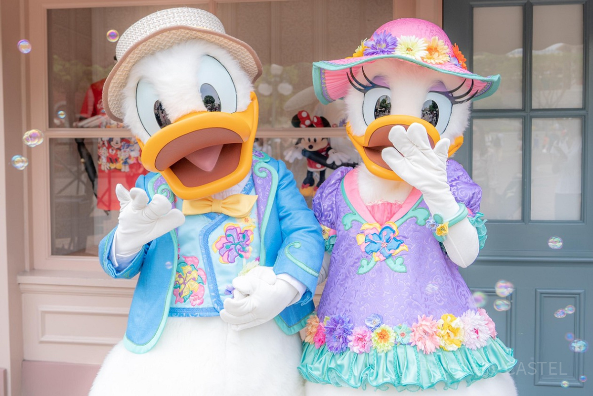 【全てFoil】 デイジーダック ドナルドの彼女 ４枚 ロルカナ デイジーダック ドナルドの彼女 スーパーレア アンバー