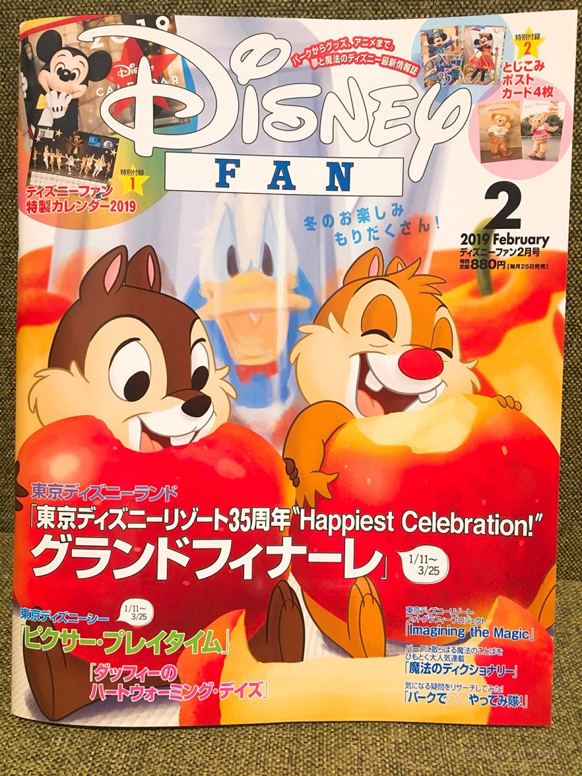 『ディズニーファン』