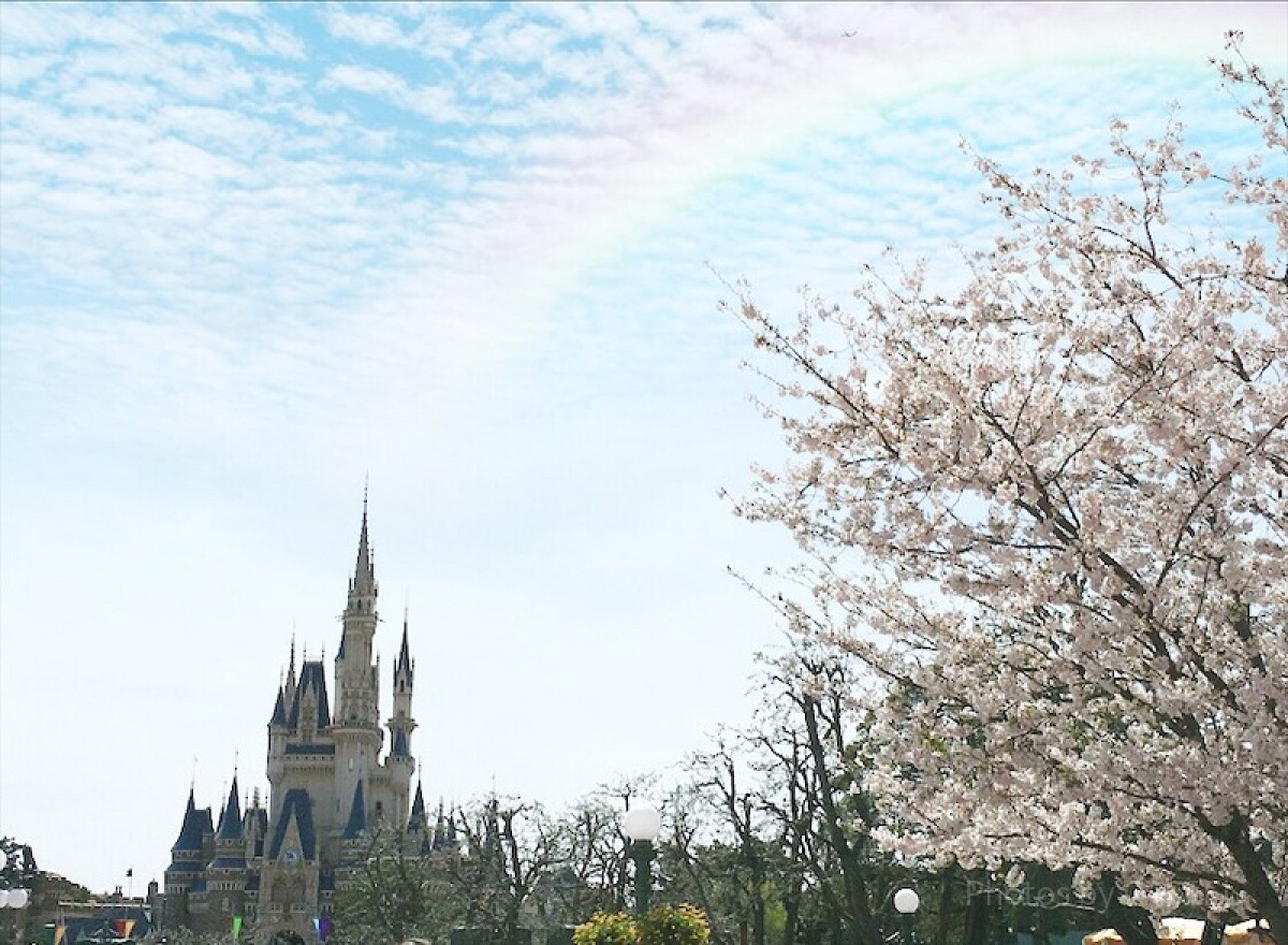 春のディズニーランド