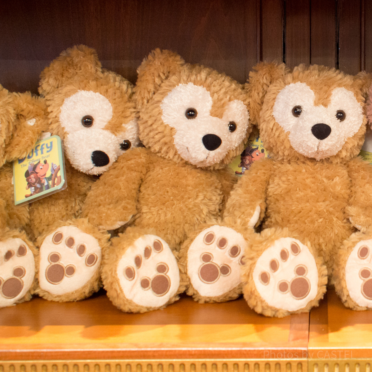 ディズニー ダッフィー ぬいぐるみSサイズ、ぬいぐるみ SSサイズ スプリングヴォヤッジ ディズニー ダッフィーフレンズ ぬいぐるみ Sサイズ３体 コスチューム