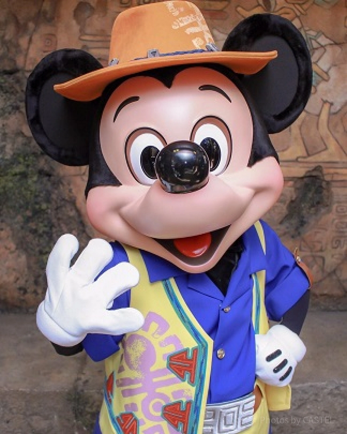 忘れ物を気にせずディズニーを楽しもう!