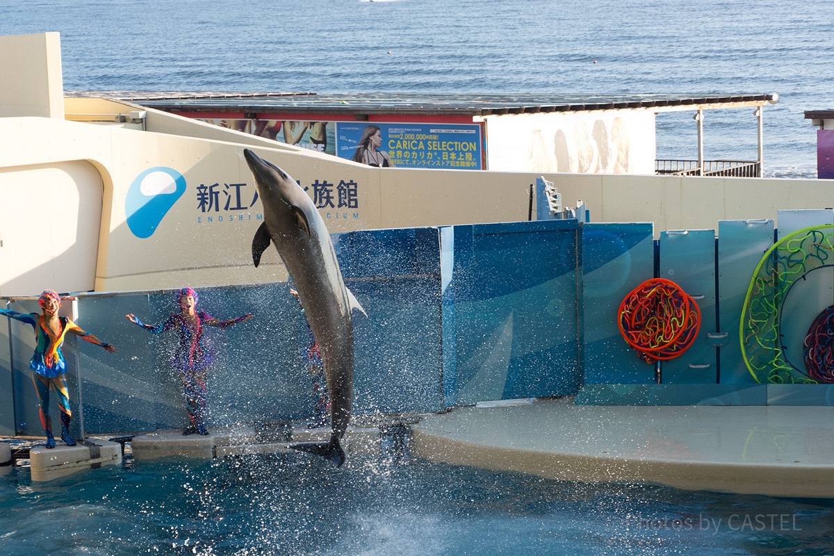 新江ノ島水族館の駐車場