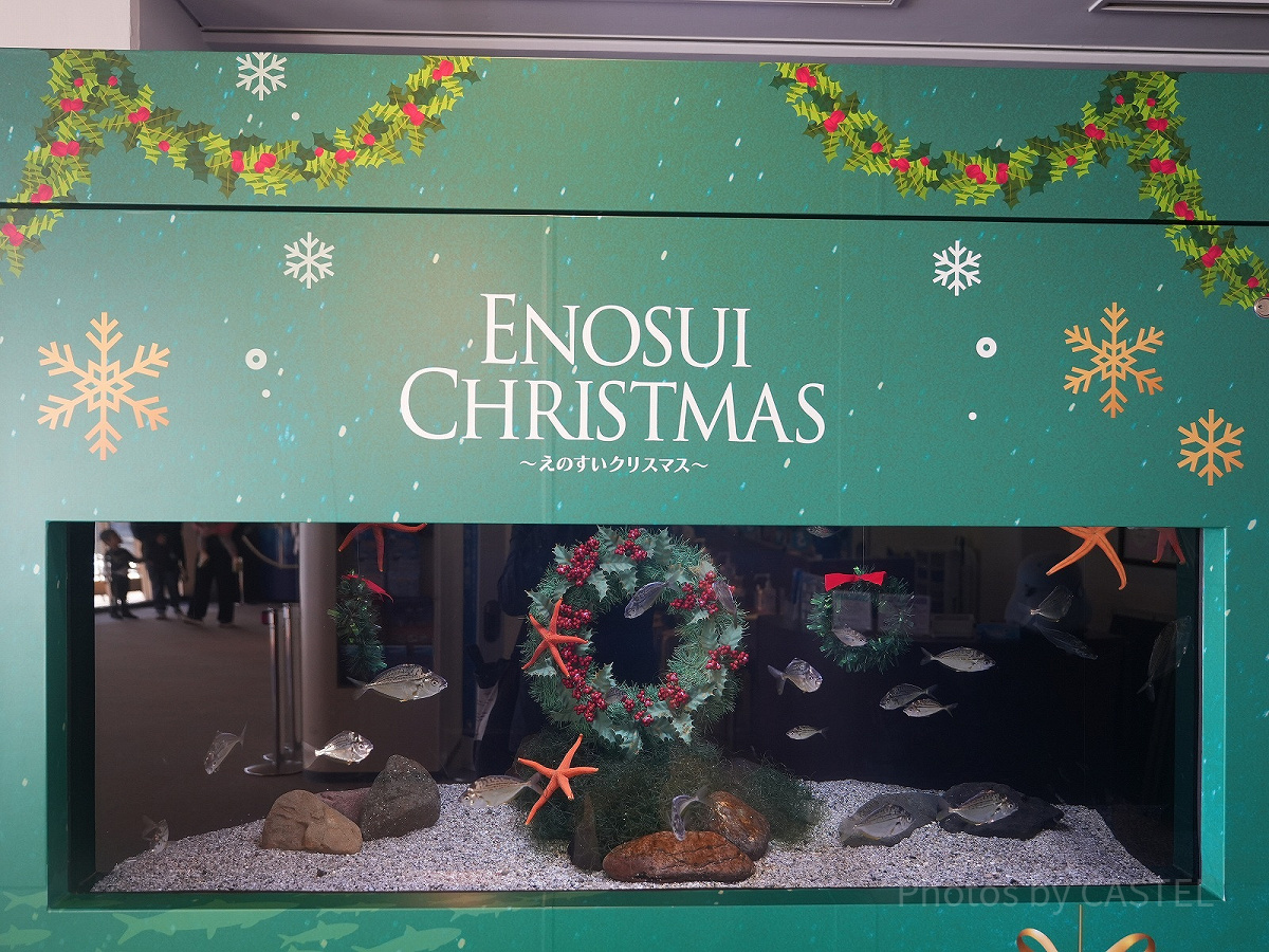 えのすいクリスマス：クリスマス仕様の水槽