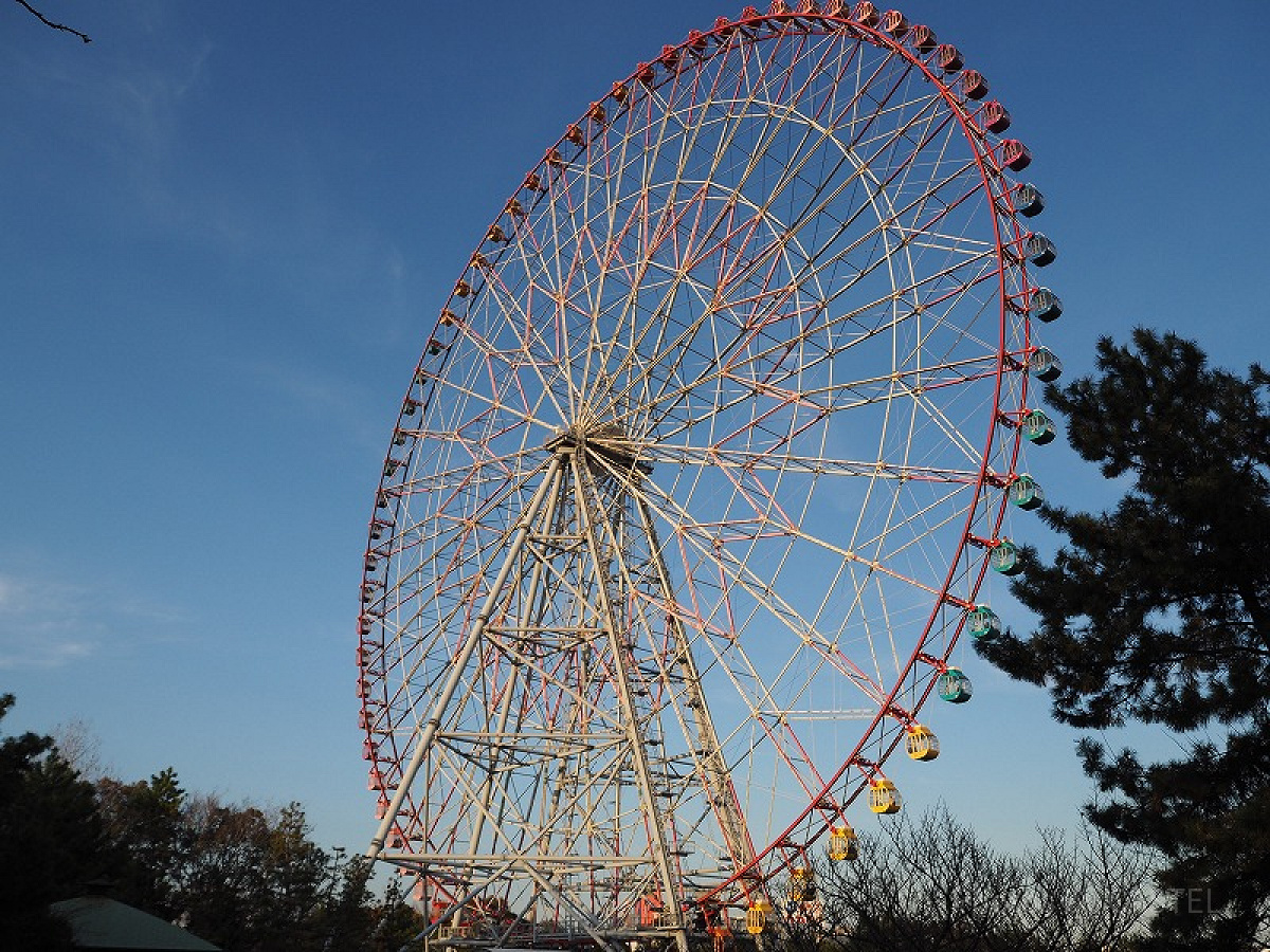 葛西臨海公園の観覧車