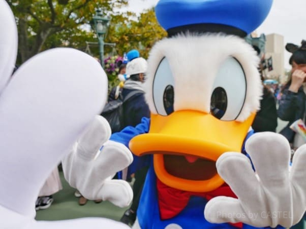 ドナルドとのフリグリ