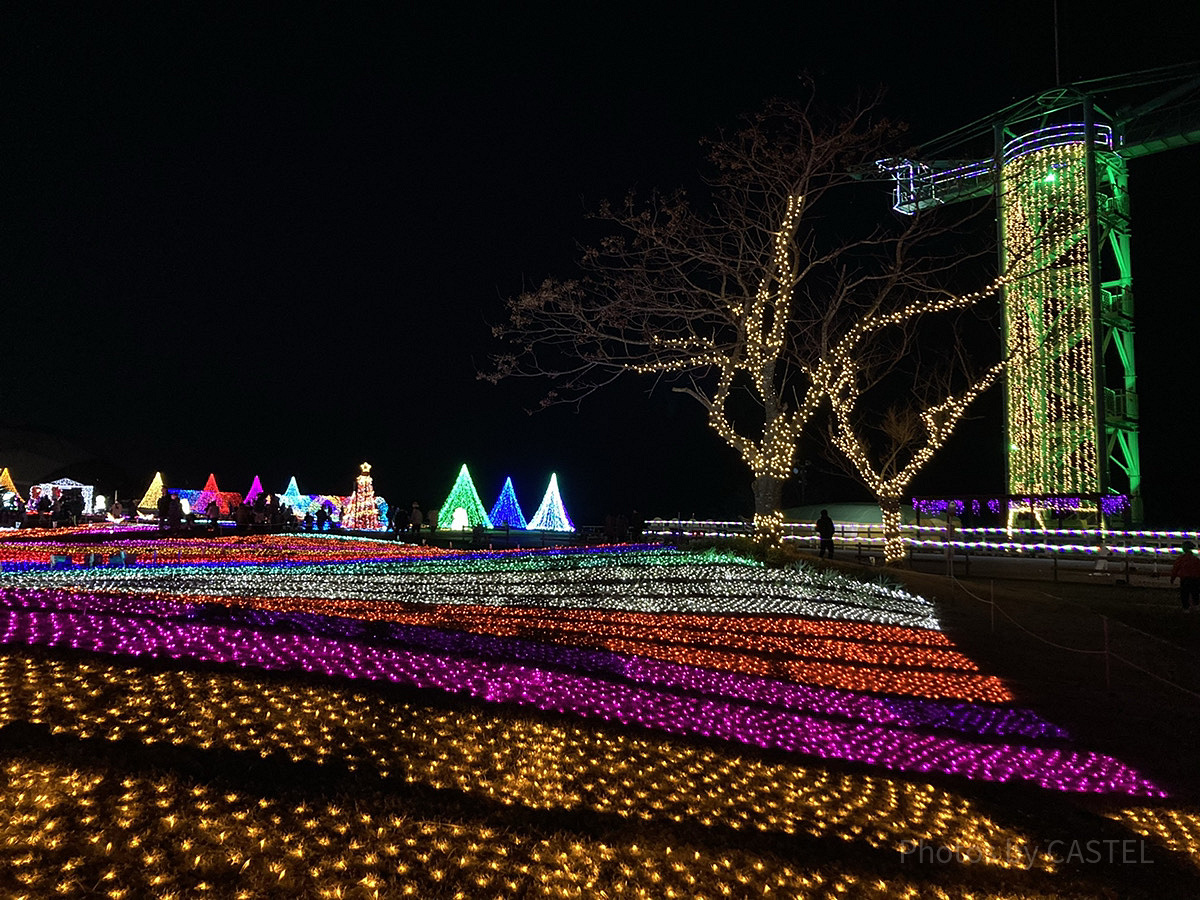 光の花畑