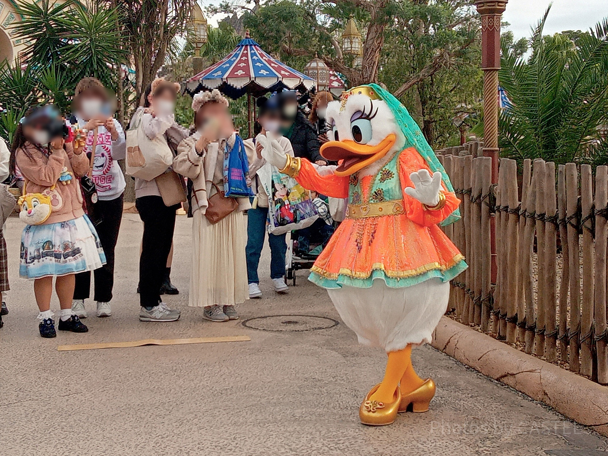 フリーグリーティング