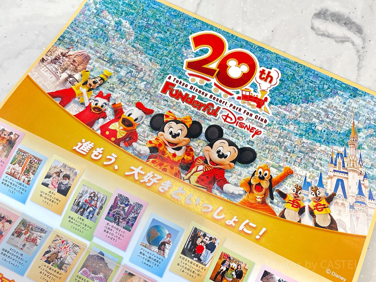 ファンダフル・ディズニーのパンフレット