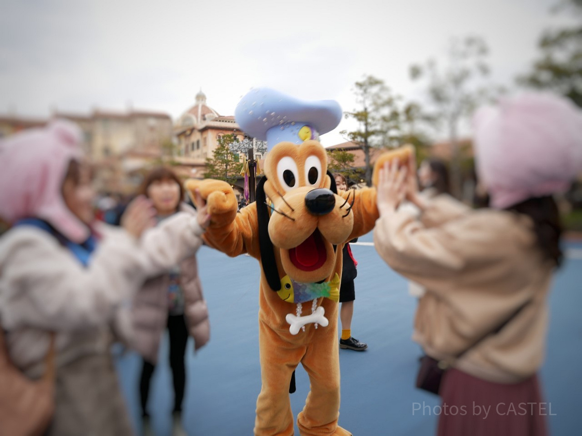 3295.海外ディズニークルーズラインピン サンクスギビング プルート