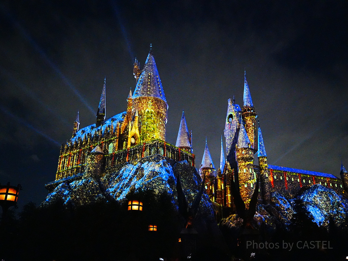 ホグワーツ・マジカル・ナイト～ウインター・マジック～（昨年撮影）