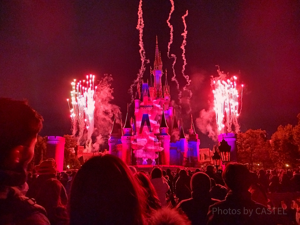 Reach for the Starsのプレミアアクセスの料金は？