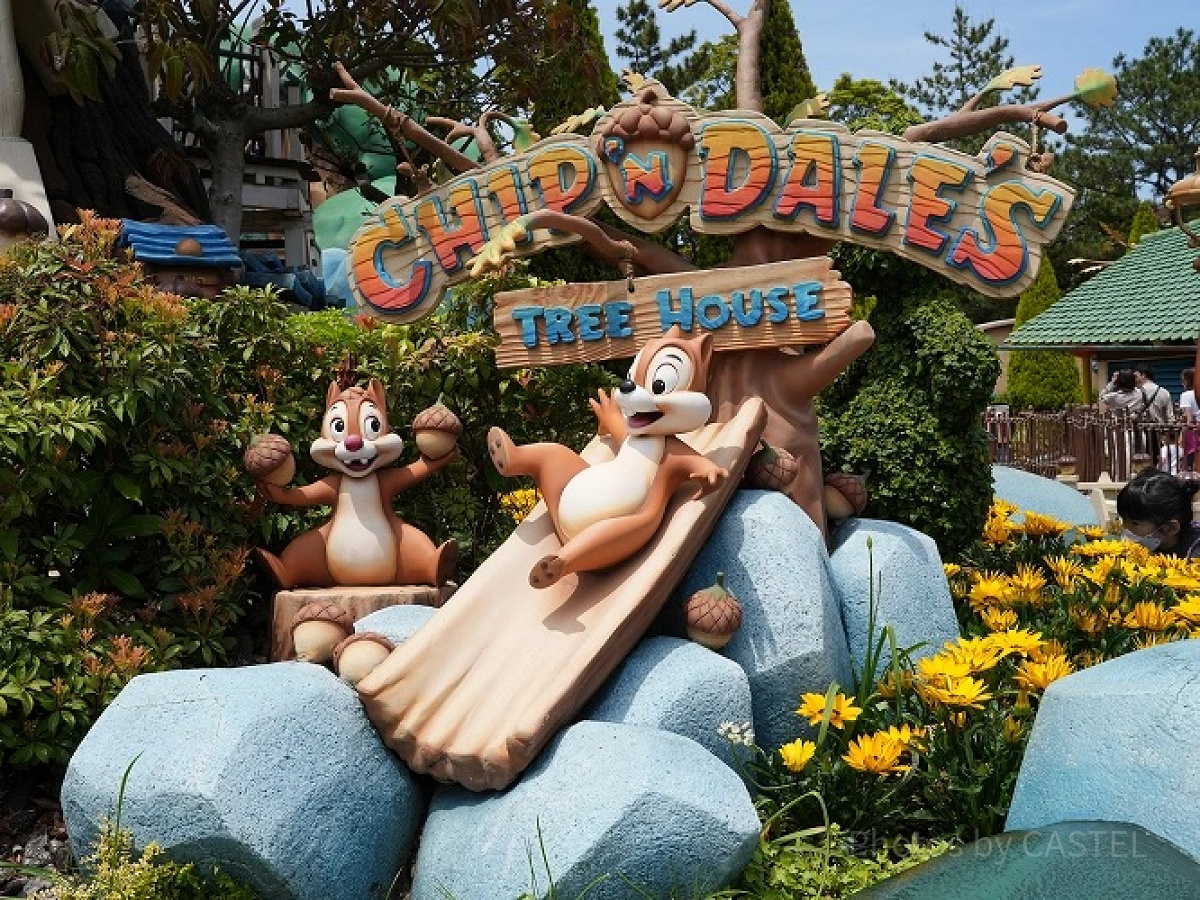 半額の小人パスポートの購入方法は？