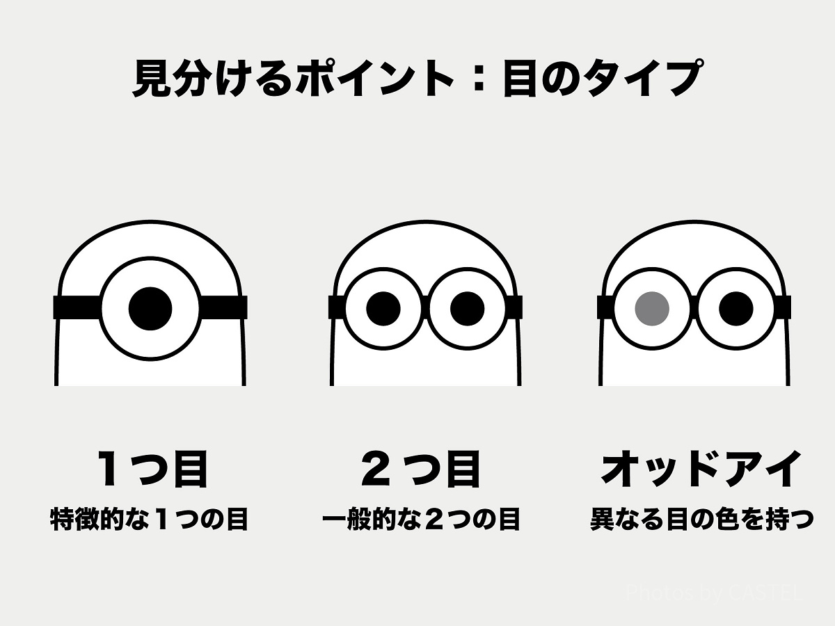 ミニオンの見分け方②：目のタイプ