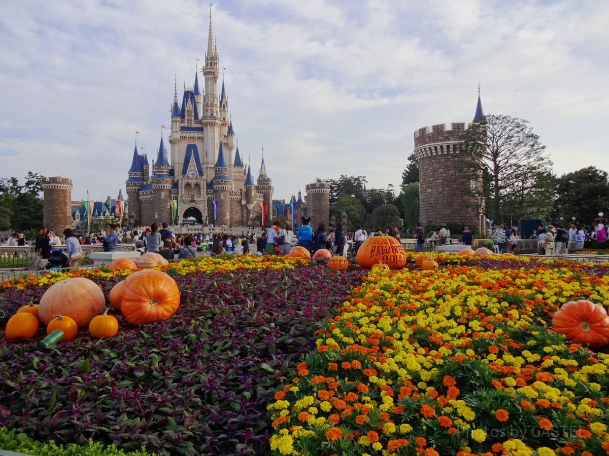 ディズニーランドの楽しみ方