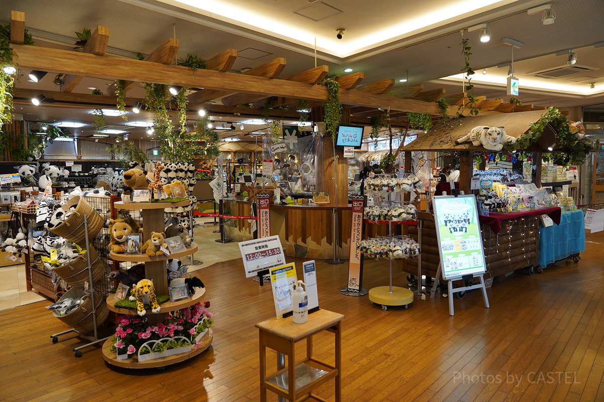 サファリな雰囲気の店内