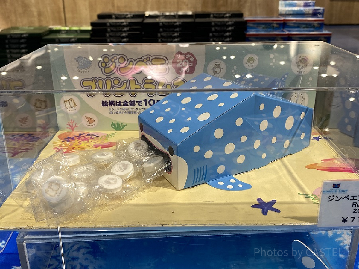 ジンベエラムネ（海遊館）